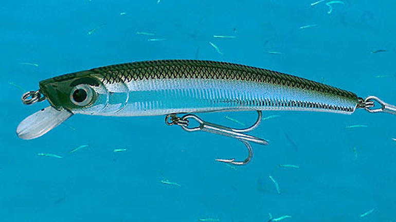 Μην «τσιμπάτε» στο δόλωμα του Ταγίπ