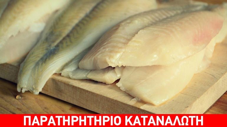 Θεσσαλονίκη: Κατάσχεση αλιευμάτων στη Νέα Μηχανιώνα