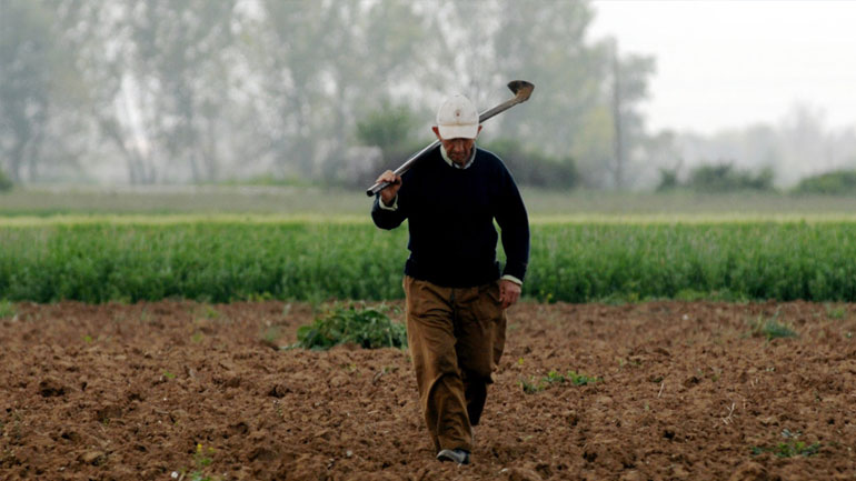 ΟΠΕΚΕΠΕ: Ενισχύσεις 194 εκατ. ευρώ σε 100.000 αγρότες καταβάλλονται σήμερα και αύριο