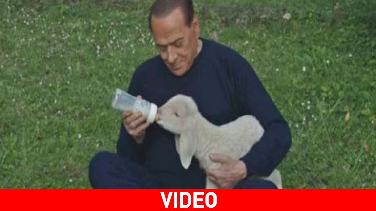 O Μπερλουσκόνι λίγο πριν από το Πάσχα σώζει αρνιά