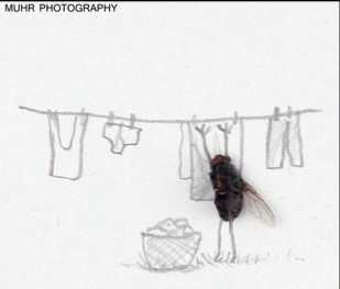 Όσοι έχουν τη μύγα και μυγιάζονται ας πάνε να απλώσουν κανά ρούχο...