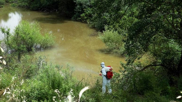Μέχρι το τέλος Απριλίου θα ξεκινήσουν οι ψεκασμοί για τα κουνούπια