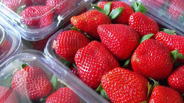 Δέσμευση δύο τόνων φράουλας χωρίς σήμανση