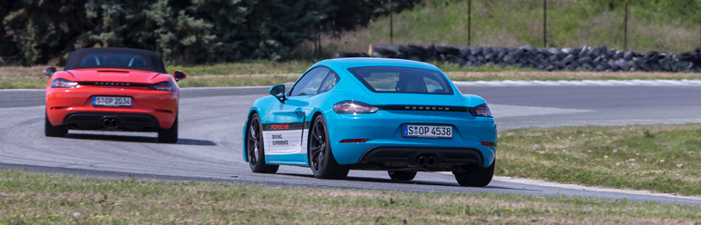 Τα δύο 'μικρά' παίζουν... κυνηγητό! 