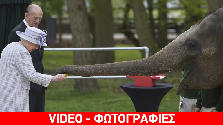 Η Ελισάβετ και ο Φίλιππος ταΐζουν μπανάνες την ελεφαντίνα Ντόνα
