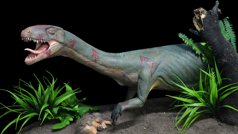 Ανακαλύφθηκε σημαντικός «ξάδερφος» των δεινοσαύρων που έμοιαζε με κροκόδειλο