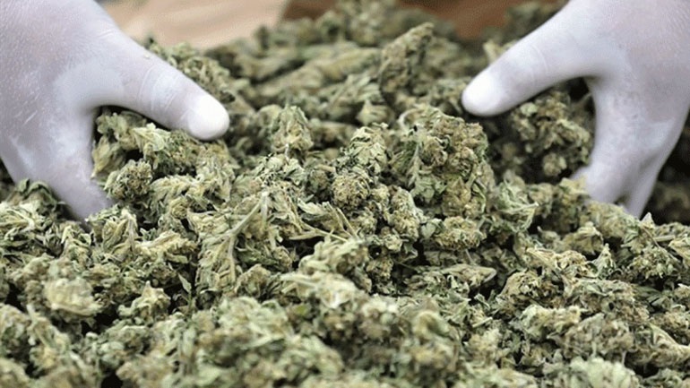 Θεσσαλονίκη: Είχε στην κατοχή του κάνναβη