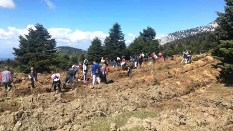 Δενδροφύτευση στη «Ράχη» Δίρφυρος με τη χορηγία 1.400 ελάτων της IKEA του Ομίλου FOURLIS