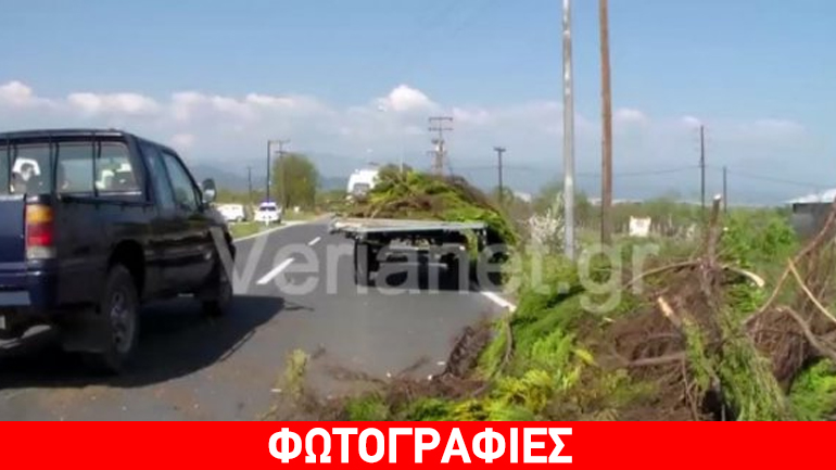 Συγκρούστηκε με καρότσα τρακτέρ και έπεσε σε πλαγιά