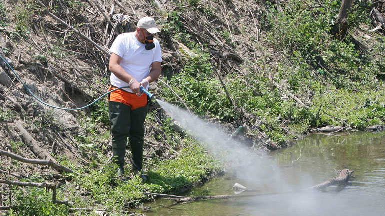 Άρχισαν οι ψεκασμοί για κουνούπια στην Αν. Αττική