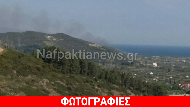 Φωκίδα: Πυρκαγιά κοντα σε ξενοδοχείο στη Χιλιαδού