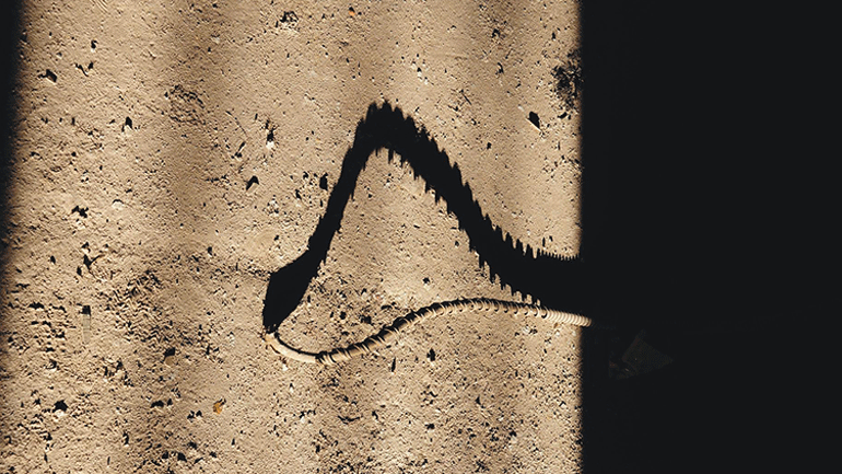 Δήμητρα Τρυπάνη: «Edward’s Dream» – Μια παράσταση ήχου στο Μέγαρο Μουσικής Αθηνών