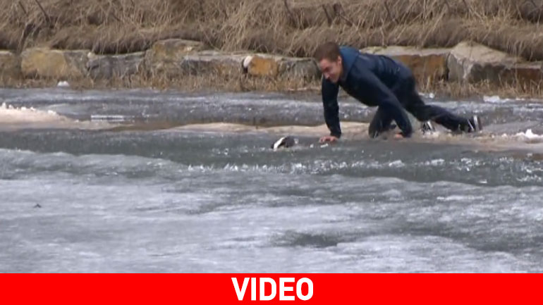 Αυτό θα πει πραγματική αγάπη – Βουτάει στα παγωμένα νερά για να σώσει έναν σκύλο
