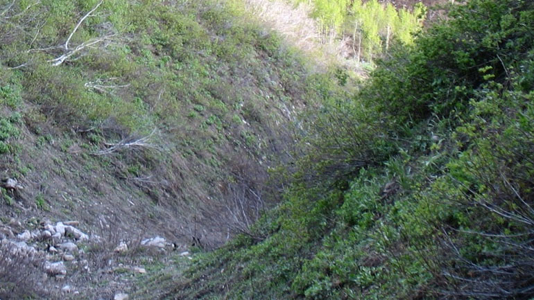 Ευρυτανία: Ηλικιωμένος έπεσε σε χαράδρα