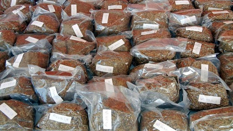 Βόλος: Συνελήφθησαν γυναίκες με λαθραίο καπνό