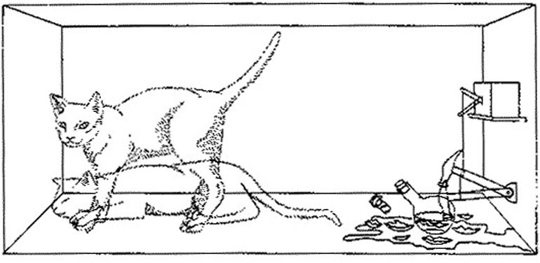 Η γάτα του Σρόντινγκερ, το γνωστό παράδειγμα επεξήγησης των παράδοξων Κβαντικών Νόμων