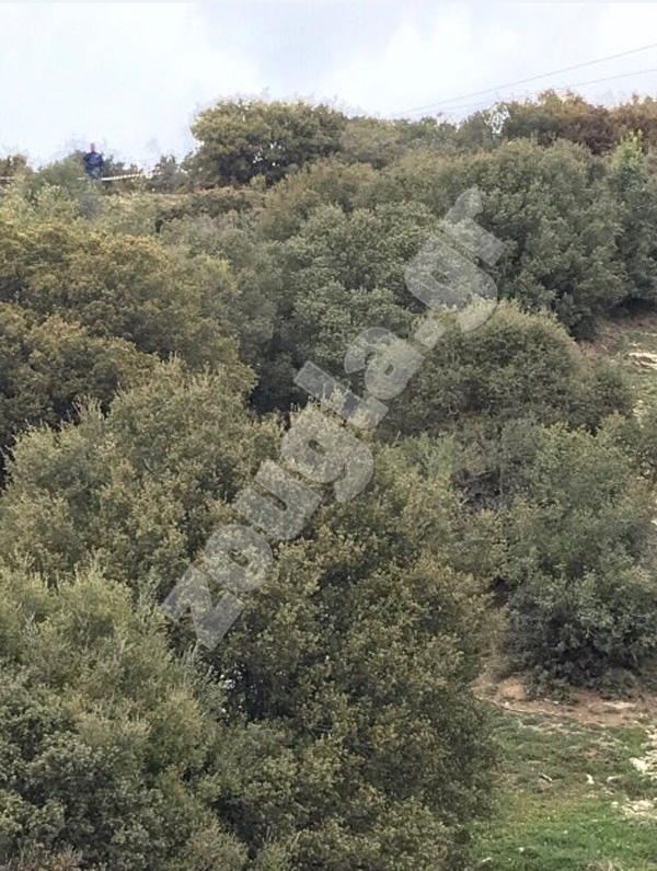 Διασώστες στο σημείο της συντριβής