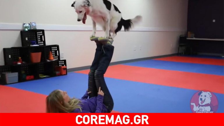 Οι χορευτικές δεξιότητες ενός σκύλου