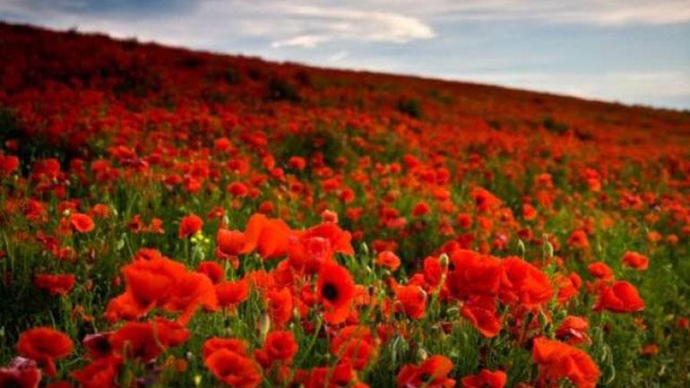 Yποχρεωτική αργία η Πρωτομαγιά με υπουργική απόφαση