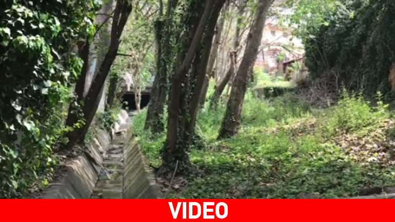 Το… βοτανικό μονοπάτι της Θεσσαλονίκης