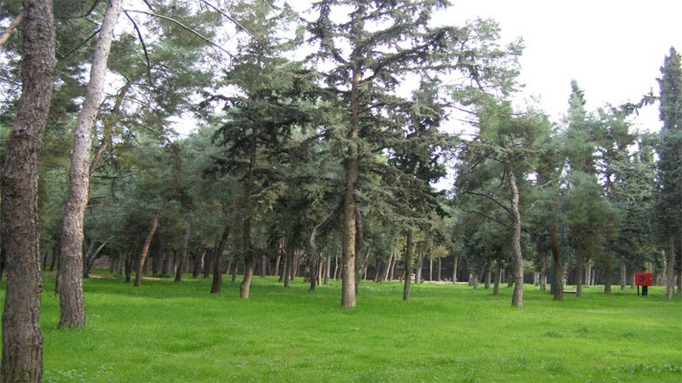 Να διαγραφούν 71 στρέμματα του Άλσους Νέας Φιλαδέλφειας από το χαρτοφυλάκιο της ΕΤΑΔ ζητεί ο τοπικός δήμος