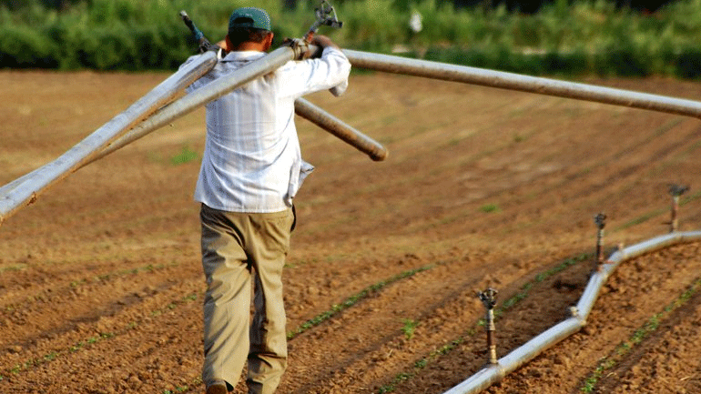 Από το 2025 οι περικοπές συντάξεων σε αγρότες που συνεχίζουν να εργάζονται