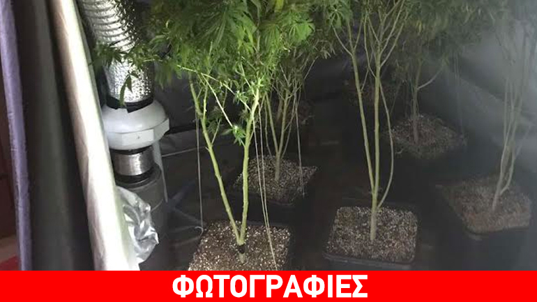 Το σπίτι είχε μπάνιο, κουζίνα και… εργαστήριο υδροπονικής κάνναβης