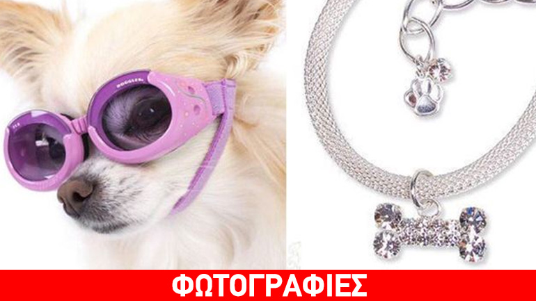 Summer 2017: Τα must have αξεσουάρ για τα αγαπημένα σας σκυλάκια