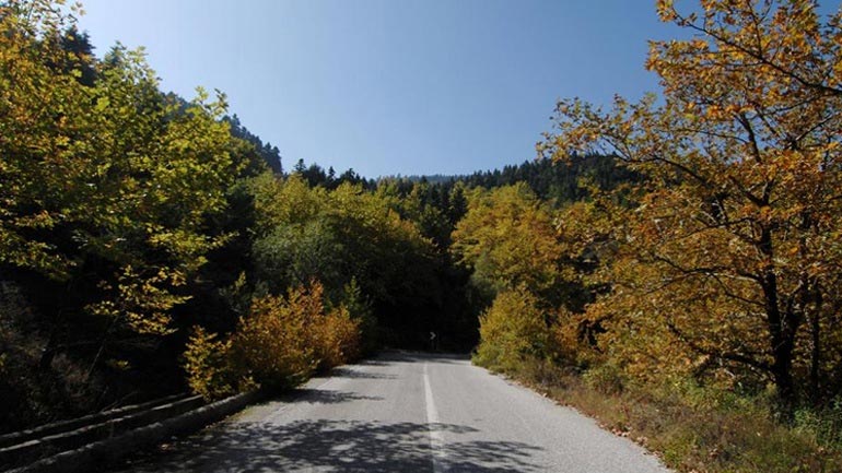 Ορίστηκε η διαδικασία διόρθωσης πρόδηλων σφαλμάτων στους δασικούς χάρτες