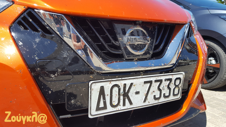 Μία διαφορετική... μάσκα (και γεμάτη μυγάκια) 