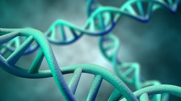 Ανακαλύφθηκαν εκατοντάδες γονίδια που φέρνουν πρόωρη εφηβεία στα κορίτσια