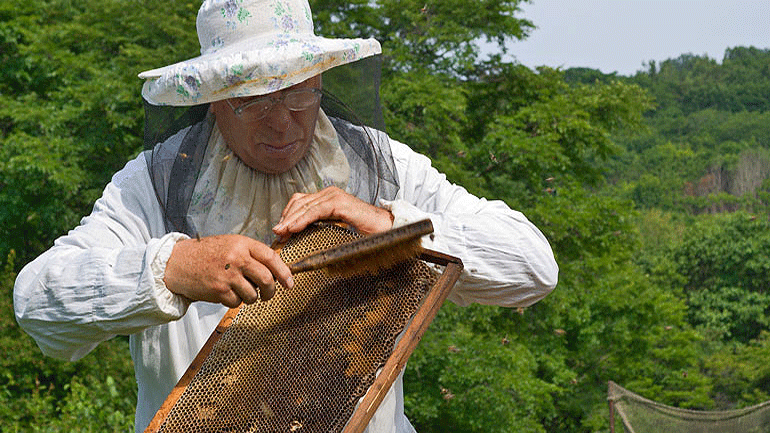 Υποσχέσεις για επιτάχυνση των προγραμμάτων Αγροτικής Ανάπτυξης