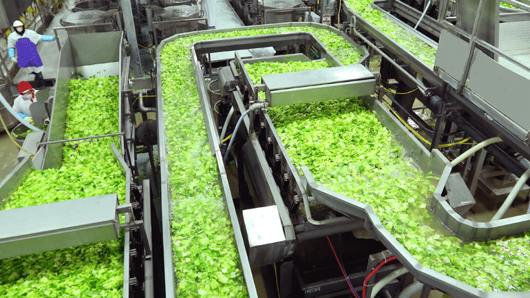 Από 16 Μαΐου οι αιτήσεις για μεταποίηση και εμπορία αγροτικών προϊόντων