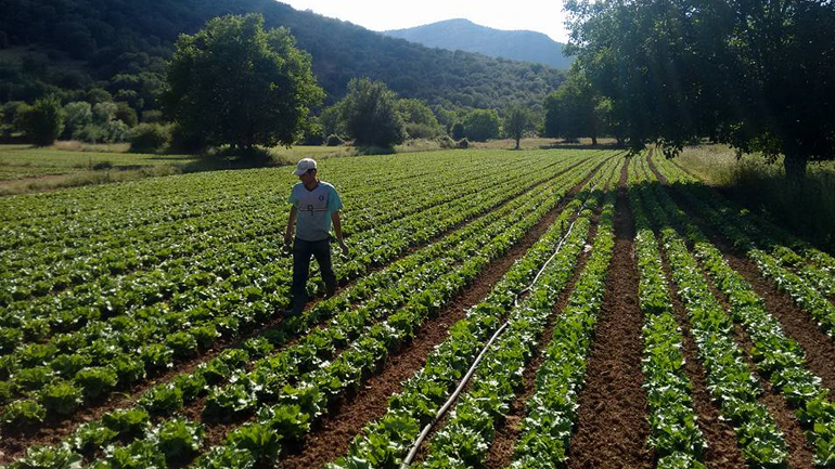 Κόνιτσα: Έφυγε για αγροτικές εργασίες και δεν επέστρεψε ποτέ…