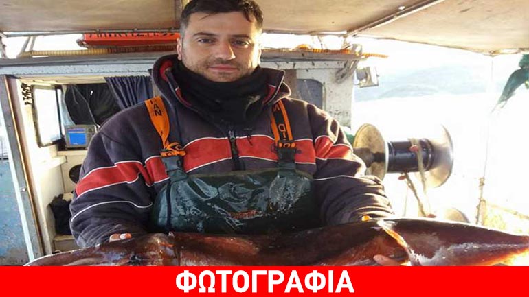 Αλίευσε γιγάντιο καλαμάρι ανοιχτά της Πρέβεζας