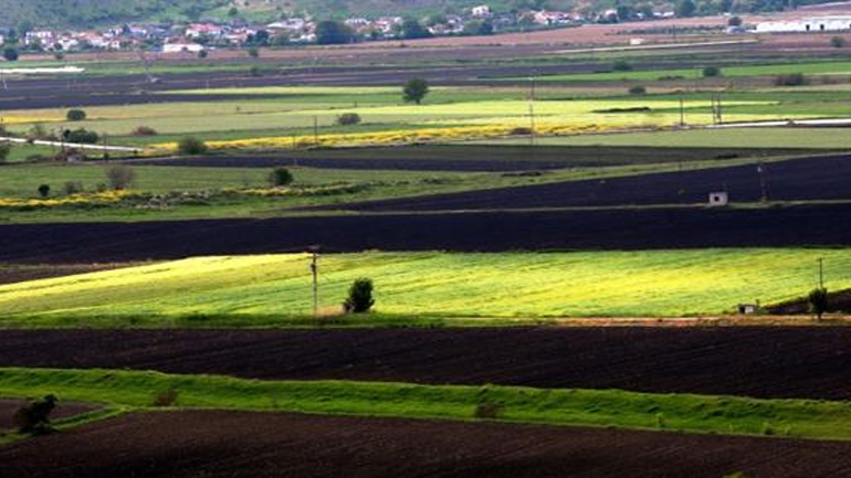 Από 1η Μαΐου απαγορεύεται η καύση σε αγροτικές εκτάσεις