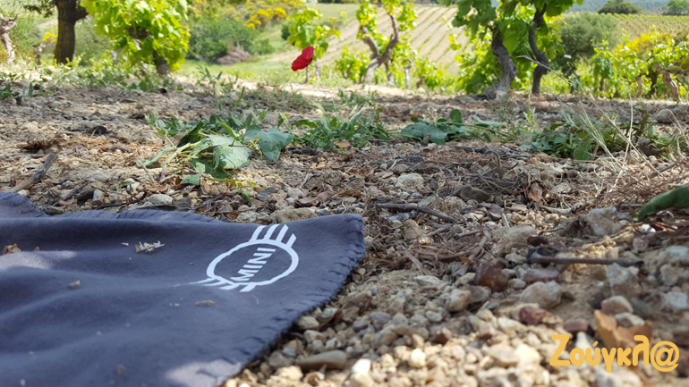 Παιδιά καλό μήνα είπαμε; Μην το ξεχνάμε. 1η Μάη και... συνεχίζουμε!