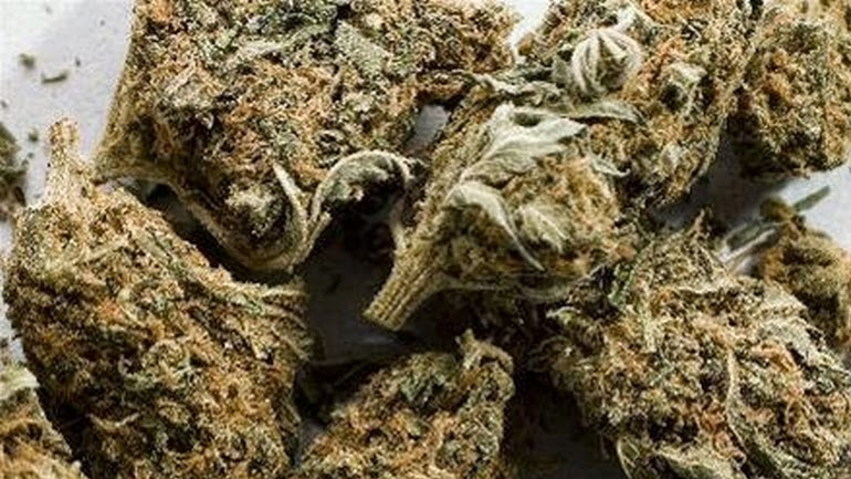 Από τα Ελληνοαλβανικά σύνορα μετέφεραν τεσσεράμισι κιλά χασίς