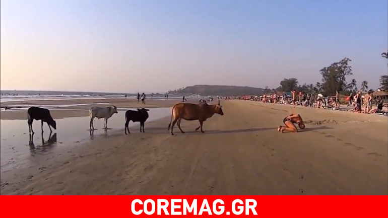 Ούτε το φανταζόταν αυτό που θα συνέβαινε στην παραλία!