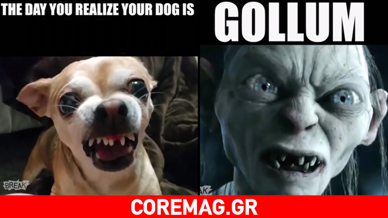Ο σκύλος.. Gollum!