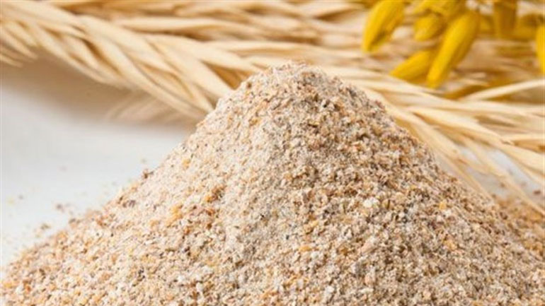 Για πρώτη φορά παρήχθη το αντιβιοτικό πενικιλίνη από μεταλλαγμένη μαγιά