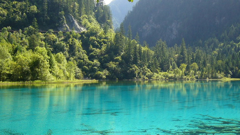 Οι ήχοι της φύσης μάς ηρεμούν