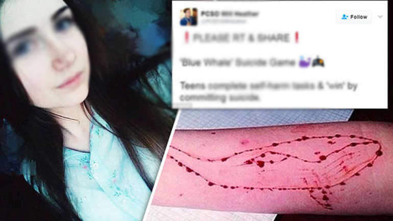 Συναγερμός για την «Μπλε Φάλαινα»