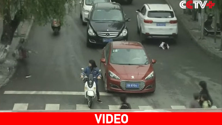 Παιδάκι 2 ετών σώζεται από θαύμα όταν αυτοκίνητα περνούν από πάνω του!