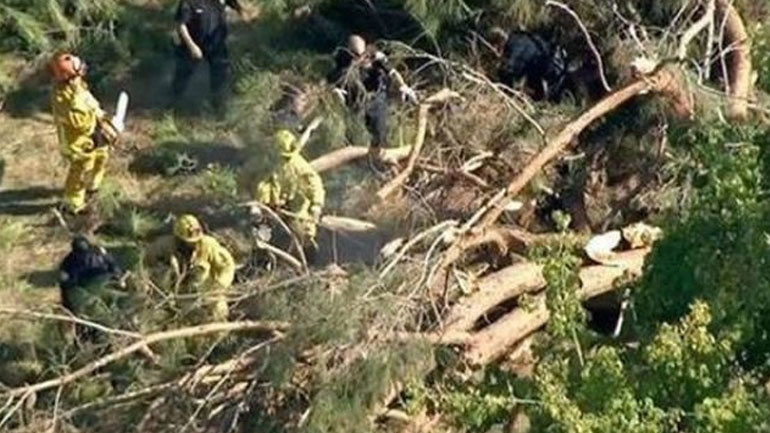 Τραγωδία στην Εύβοια: Καταπλακώθηκε πυροσβέστης, πολύτεκνος πατέρας