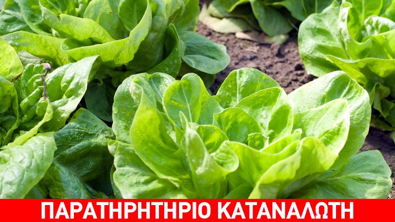 Δέσμευση μαρουλιών (iceberg) αγνώστου προελεύσεως