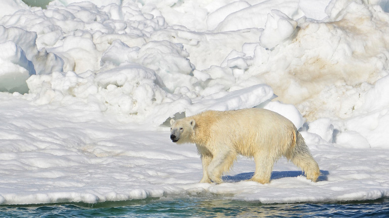 Oι ΗΠΑ λένε «ναι» στην έρευνα κλιματικής αλλαγής στην Αρκτική
