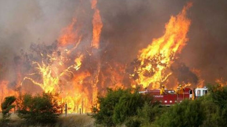 Αυξήθηκαν οι δυνάμεις της πυροσβεστικής στο Σούλι Λακωνίας