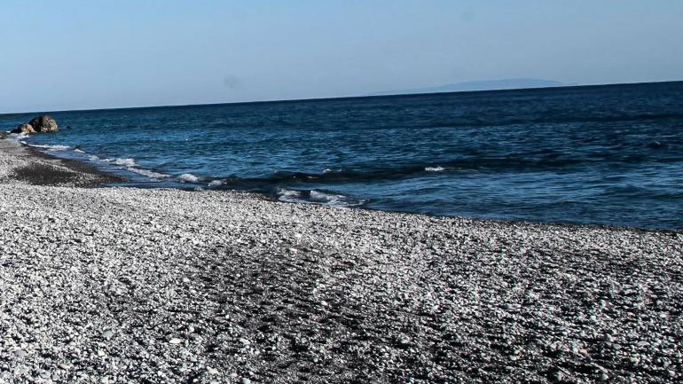 Καθαρίστηκαν οι παραλίες του δήμου Πλατανιά