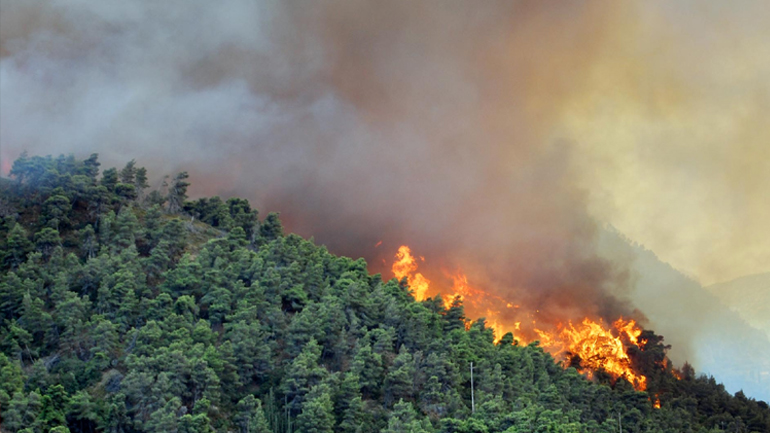 Πέντε συλλήψεις για τη φωτιά στο Σούλι Λακωνίας